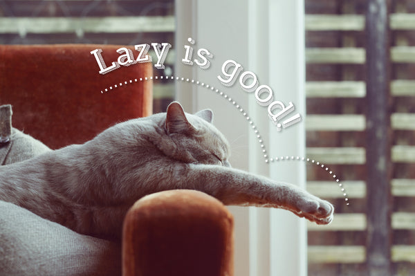 Lazy is good!